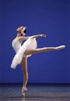 Les Solistes du Ballet de l'Opéra de Paris - Avant-Seine - Théâtre de Colombes