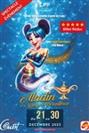 Aladin et la lampe merveilleuse - Théâtre à l'Ouest de Lyon