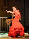 Vuelo flamenco - Café-Théâtre Le Téocali