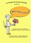 Mes chers amis ! - Théâtre de Poche