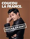 Sugar Sammy - Théâtre de L'Hôtel de Ville