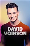 David Voinson - Théâtre à l'Ouest de Lyon