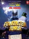 Frankenstein junior - Théâtre Déjazet