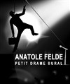 Anatole Felde, petit drame bural - Théâtre Clavel