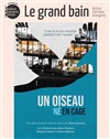 Un oiseau né en cage - Theatre de la rue de Belleville