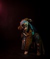 Les 1001 Histoires du Capitaine - Théâtre de la Plume