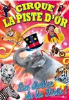 Le Cirque La Piste d'Or dans Les étoiles de la piste - Chapiteau du Cirque La piste d'Or à Plougastel