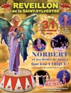 Réveillon magique avec Norbert et ses Drôles de Dames Font leur Cirque - Chapiteau du Cirque Rubis