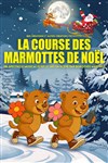 Affiche de La course des marmottes de Noël