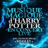 The magical music of Harry Potter live in concert - Amphithéâtre de Rodez