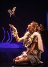 Le Renard et la Terre - Théâtre les Lucioles - Salle du Fleuve