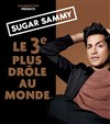 Sugar Sammy - Le Point Virgule