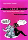 Une mémoire d'éléphant dans un magasin de porcelaine - Théâtre Bellecour