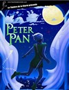 Peter Pan - Théâtre de la Clarté