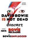 David Bowie is not dead - Théâtre de Ménilmontant - Salle Guy Rétoré