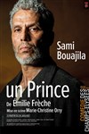 Un prince - La Comédie des Champs Elysées
