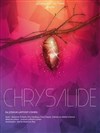 Chrysalide - Le Verbe fou