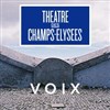 Ian Bostridge : ténor - Théâtre des Champs Elysées