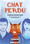 Chat perdu - Le Métropole