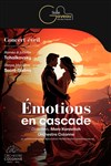 Émotions en cascade - Salle Gaveau