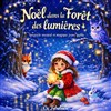 Noël dans la forêt des lumières - Théâtre de l'Embellie