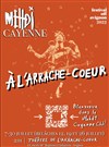 Mehdi Cayenne - Théâtre de L'Arrache-Coeur - Salle Barbara Weldens