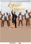 Chico & The Gypsies - Arènes de Palavas