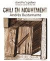 Chili en mouvement - Andrés Bustamante - Dorothy's Gallery - American Center for the Arts 