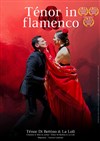 Ténor in flamenco - Théâtre de l'Optimist