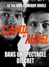 Camil et Aurel dans Un Spectacle Discret - Le Repaire de la Comédie