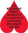 J'ai bêtement perdu Mariette à cause d'un sanglier qui aimait Chopin - Salle Bayaf