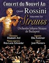 Concert du Nouvel An - Quand Rossini rencontre les Strauss - Bourse du Travail Lyon