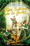 Les Lutins de la forêt - Théâtre des Grands Enfants 