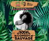 Comedy Sauvage - Jardin Sauvage
