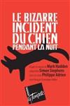 Le Bizarre Incident du chien pendant la nuit - Théâtre de la Tempête - Cartoucherie