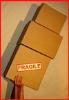 Fragile - Neutrino