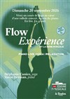 Affiche de Flow Expérience