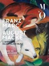 Visite guidée de l'exposition : Franz Marc / August Macke, l'aventure du Cavalier Bleu - Musée de l'Orangerie