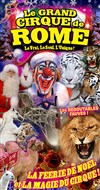 Le Cirque de Noël du Grand Cirque de Rome - Le Grand Cirque de Rome à Montpellier
