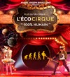 L'Ecocirque 100% humain - Chapiteau de l'Ecocirque à Bordeaux