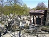 Visite guidée : Cimetière de Montmartre, L'envers du décor - Cimetière Montmartre