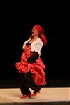 Flamenca Clown & invités - TNT - Terrain Neutre Théâtre 