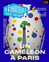 Un caméléon à Paris - Le Funambule Montmartre