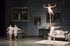 Cirque Le Roux dans The Elephant In The Room - Théâtre Claude Debussy