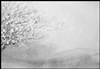 Tout blanc - Théâtre de la Plume