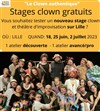 Stage gratuit "clown authentique" le 2 juillet à Lille - 2 rue Roger Salengro