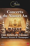 Concert du Nouvel An : Paris - Vienne - Salle Gaveau