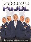 Yves Pujol dans Parce que Pujol - Espace 233
