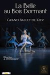 La belle au bois dormant - Centre Culturel l'Odyssée