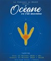 Affiche de Océane ou l'île inconnue